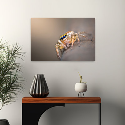 Blue Eyed Jumping Spider Contemporary Spider Wall Art Print 1 Piece Wrapped Canvas Wall Art