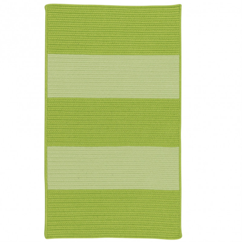 Tapis vert tressé à la main Javen, Rectangle 2 pi x 3 pi