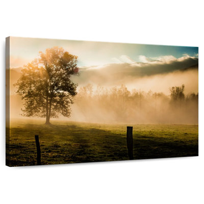 Alvord Mist In Cades Cove