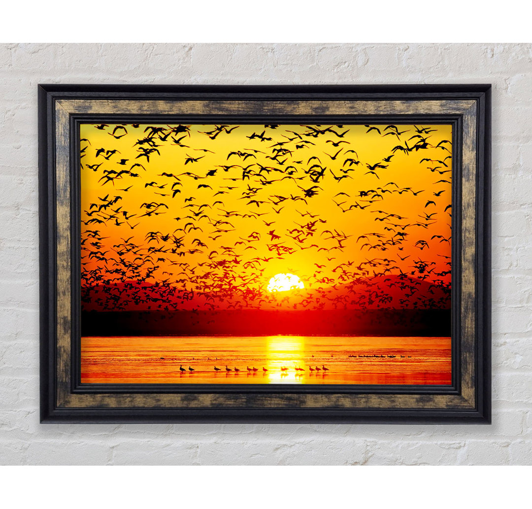 Die Vögel im goldenen Sonnenuntergang - Einzelne Bilderrahmen Kunstdrucke