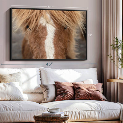 Animal, reproduction sur toile «Gros plan d'un cheval Islandais»