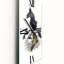 Horloge murale australienne-903027964