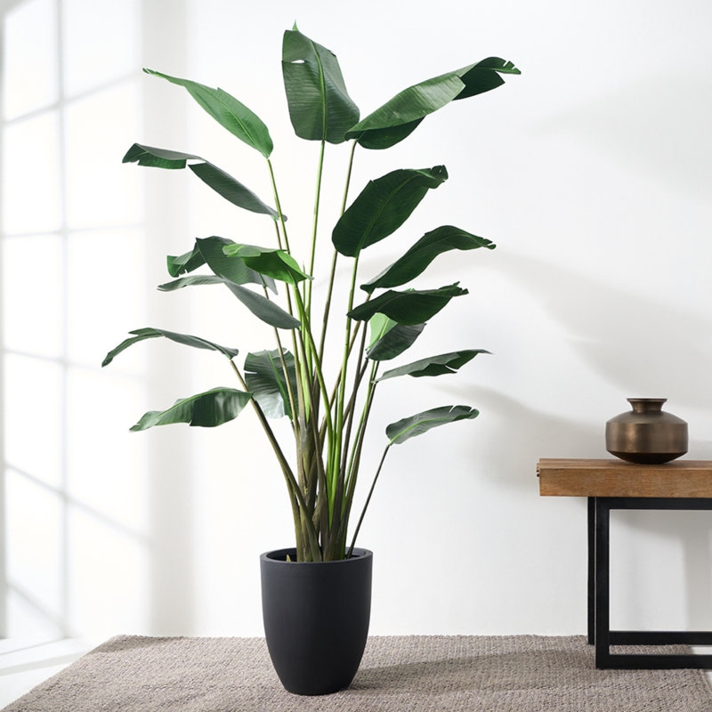 Faux Bird of Paradise Tree in Plastic Pot Liner