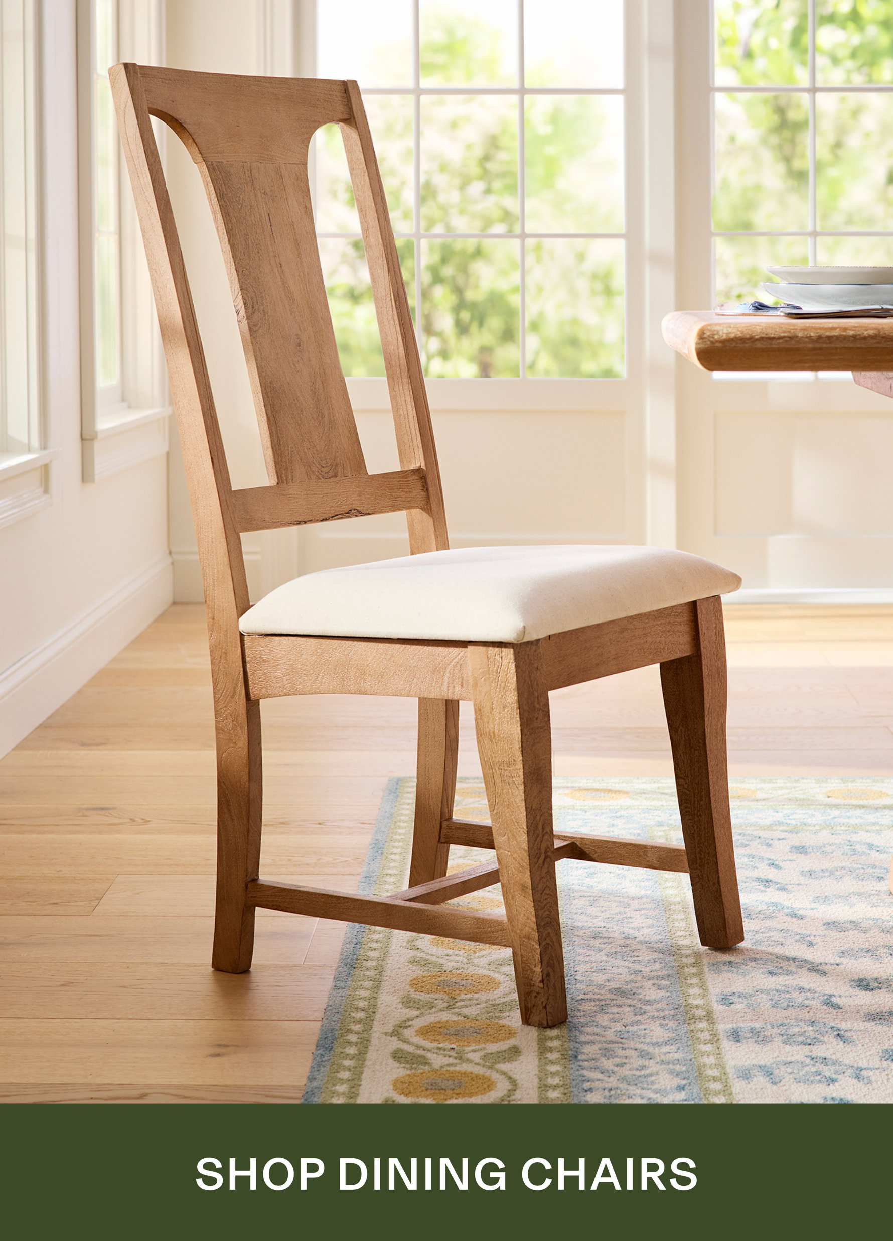 Shop Dining Chairs