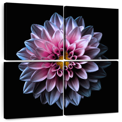 Dahlia Harnek rose et mauve