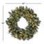 Couronne de pin à poils scintillants 30 po avec lumières à deux couleurs DEL The Holiday Aisle®