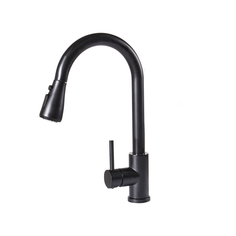 Belfry Kitchen Kitchen Faucet, Matte Black