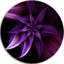 «Fractal Flower Mauve», impression-35125088-35125068