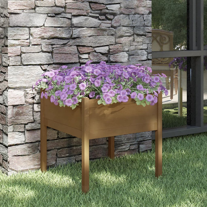 Alasteir Wood Planter Box, 70cm H x 70cm W x 70cm D, Brown