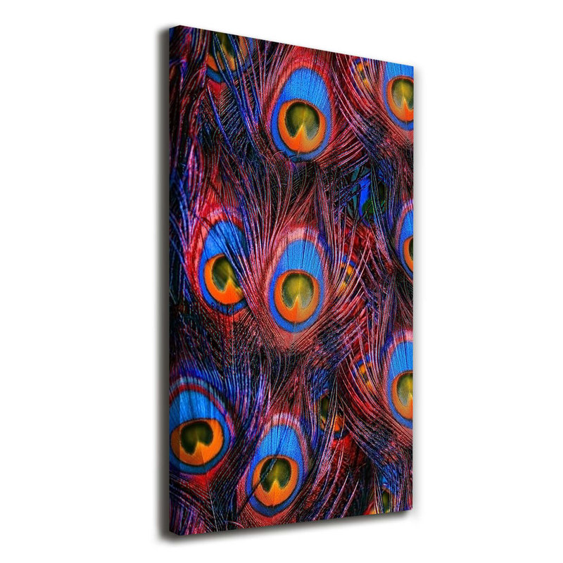 Peacock Feathers - Wrapped Canvas Print