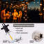 Amza Indoor / Outdoor 13 - Bulb 762 cm Plug-in LED Globe String Light
