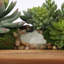 7" Artificial Succulent in Ship Bowl