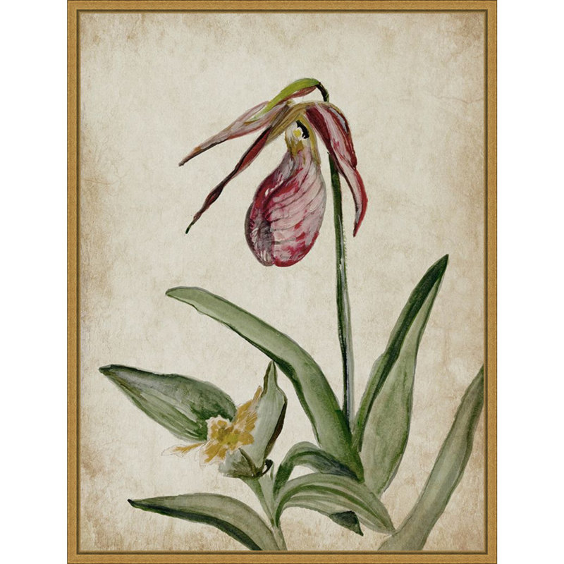 «Elegance Unveilé II» par Jacob q, reproduction d'art sur toile encadrée, H 30 po x l 23 po