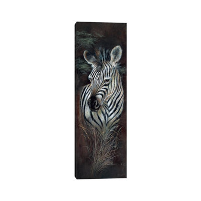 Striped Innocence by Ruane Manning - No Frame Panoramic Gallery-Wrapped Canvas Giclée on Canvas