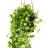29" Artificial Green Mini Leaf Ivy in Hanging Pot.
