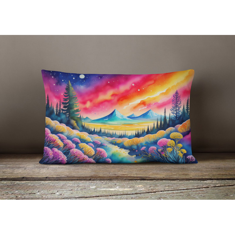 Other/No Pattern Outdoor Throw Pillow