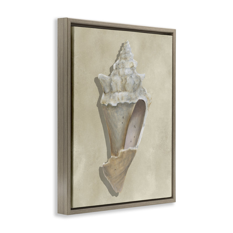 Toile de coquillage brun clair avec toile de coquillage noir, conception par Michael Willett, H 31 po x l 25 po