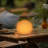 Casara USB Novelty Multi-color Lamp