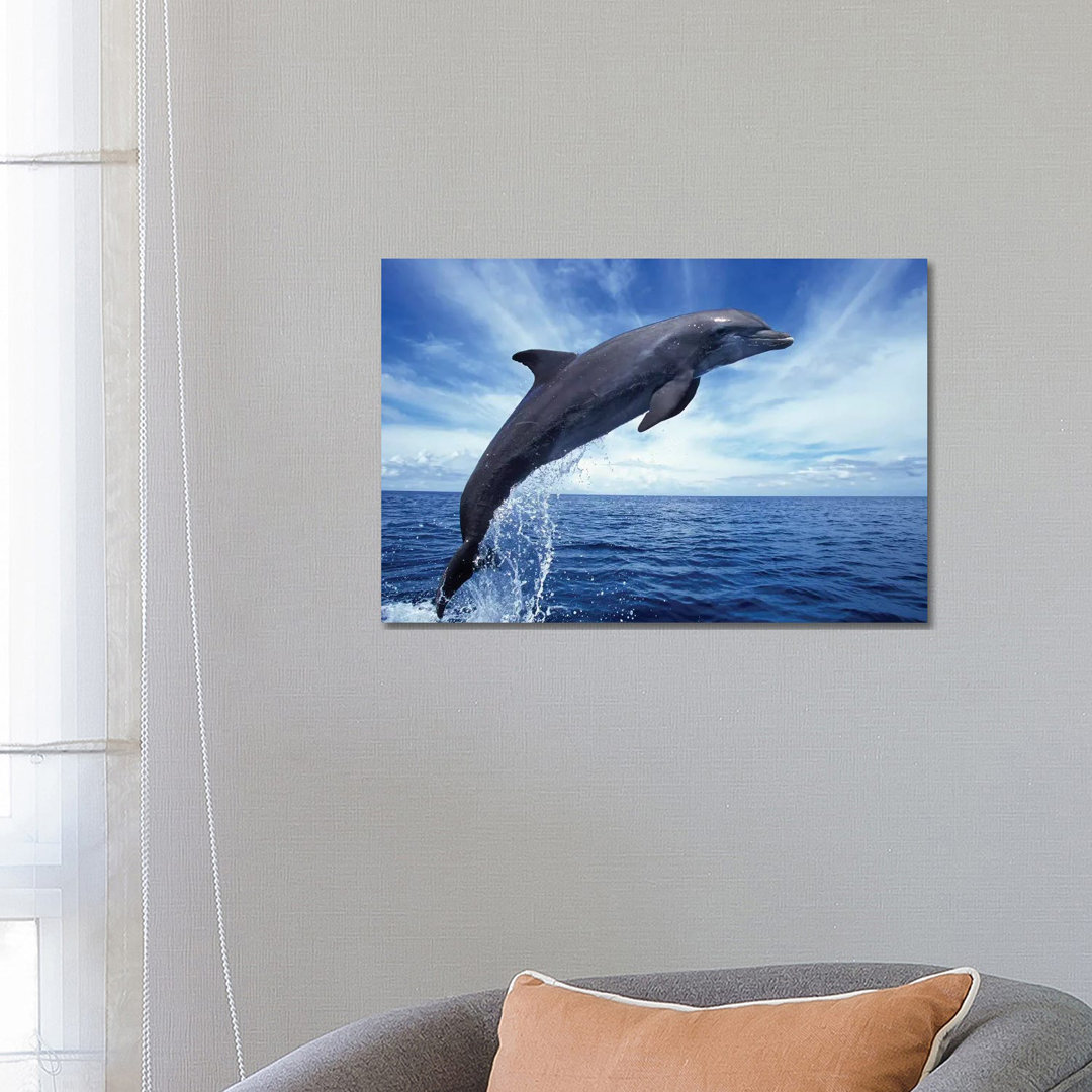 Bottlenose Dolphin In The Caribbean, Off Roatan Island, Honduras II by VWPics - Wrapped Canvas Print