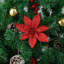 Angelicque Polyethylene (PE) Poinsettia Arrangement-295028120