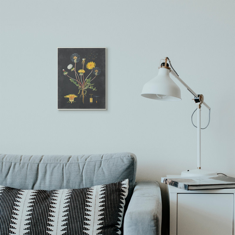 «Botanical Dessin Dandelion On Black Design», impression, Plaque murale, H 15 po x l 10 po