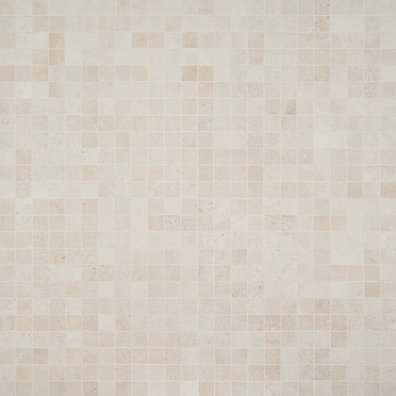 Staten 12" x 12" Porcelain Mosaic Wall & Floor Tile, Sand