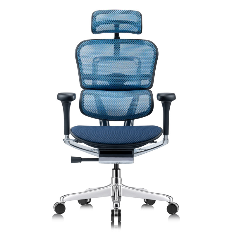 Tempur-Pedic Ergohuman GEN2 Hi Back Ergonomic Office Chair with Tempur-Pedic Seat, Synchro-Tilt, Adjustable Headrest, Arm Height Adjustment