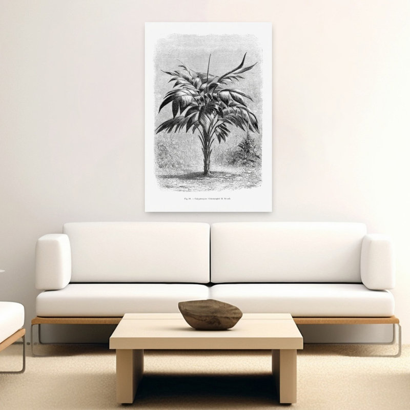 Dessin de palmier rétro rétro rétro, H 60 po x l 40 po