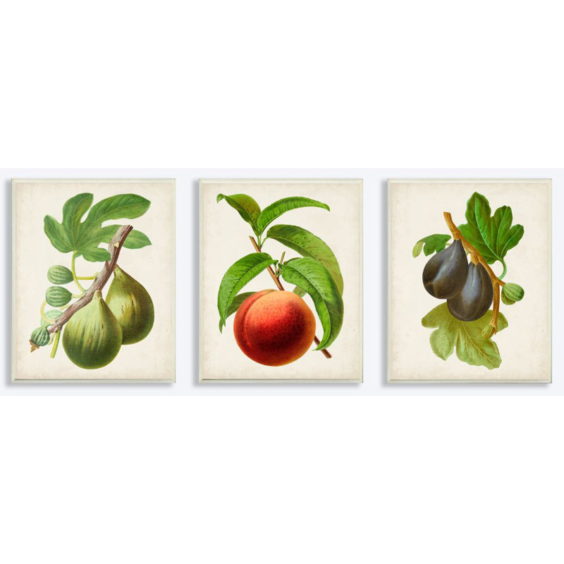 «Vintage Fruits Dessin Kitchen Bathroom Room Design Design», ensemble de 3 impressions sur toile, Plaque murale