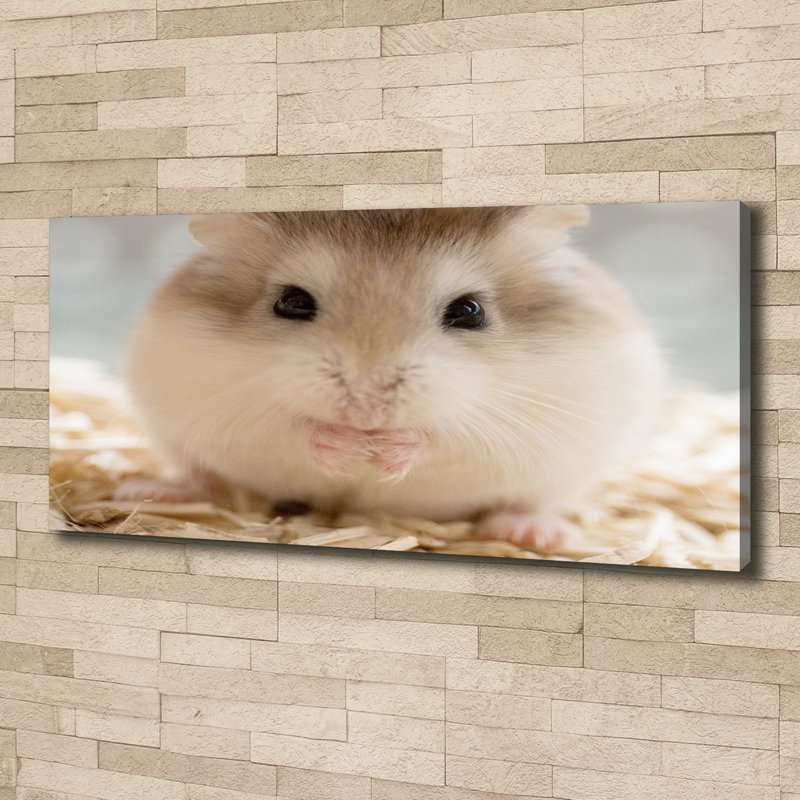 Hamster - No Frame Print on Canvas
