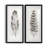 Feather Fancy I - Natural History Print, Matted and Framed Under Acrylic Glass, Set of 2, Study and Living Room Wall Art