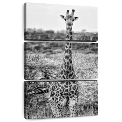 Brampt Awesome South Africa - African Giraffe