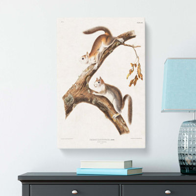 Downy Squirrels by Louis Renard - Wrapped Canvas
