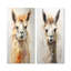 Furry lama - ensemble de 2 reproductions d'art mural lama-102584628-102584625