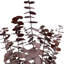 Ensemble de 4 bouquets d'eucalyptus séchés-209624966