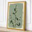 White Flowering Study Botanical - Wrapped Canvas-1271057971-1271057975