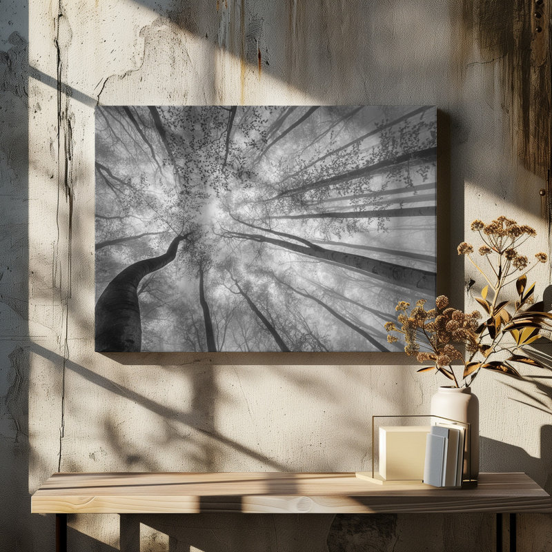 Wrapped Canvas Print, 50.8 cm H x 76.2 cm W