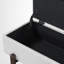 Banc de rangement rembourré-1069356979