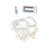 Kelliher Indoor 300 - Bulb 11'' Battery Powered Fairy String Light