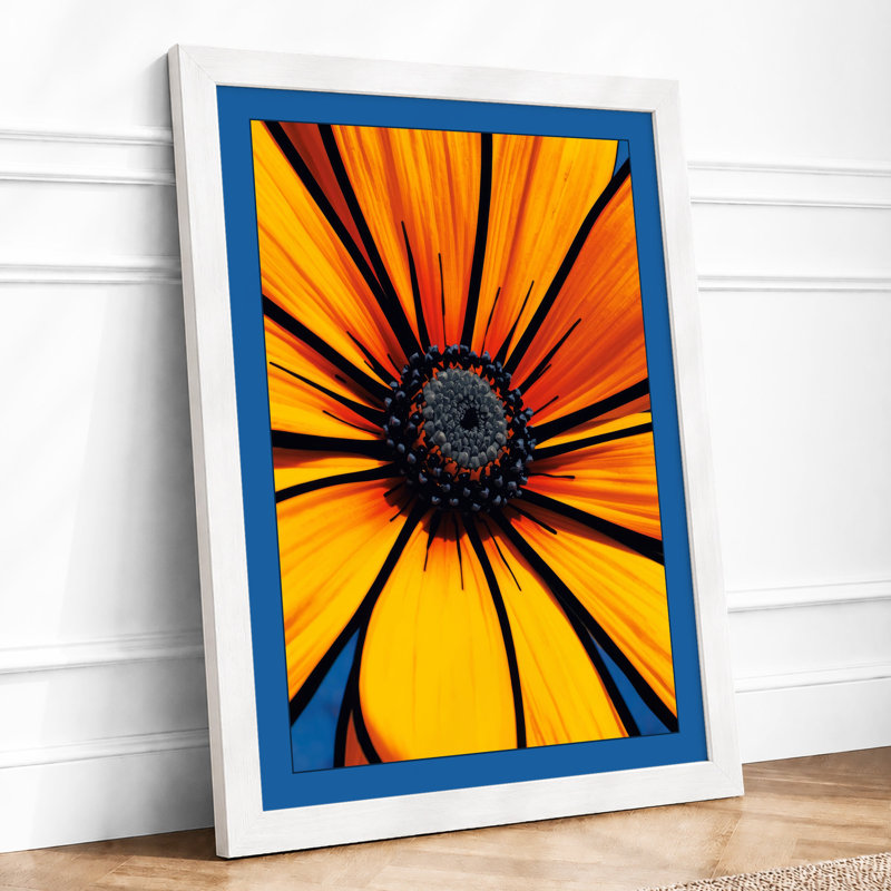 Radiant Daisy Botanical - Framed Print, A2 - 59.4 x 42.0 cm, White