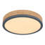 Tejal LED Flush Mount-96012066