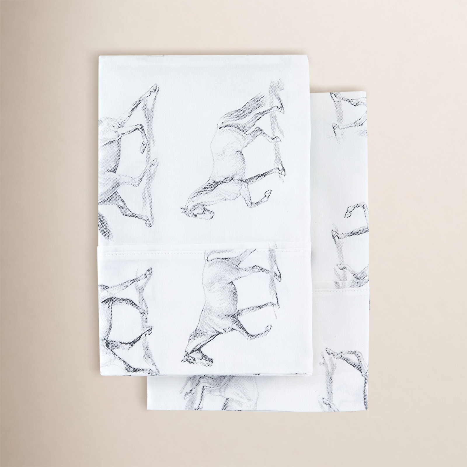 Avalea Cotton Sheet Set, Full