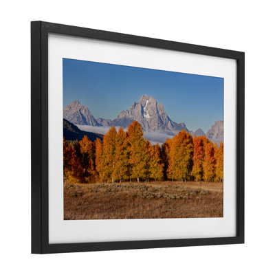 Autumn Tree Line avec Mountain, reproduction encadrée sous verre, design par Shelley Carlisle