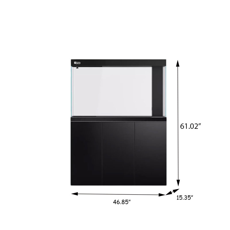 Aquarium transparent 47,24 po à fond noir