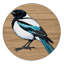  Tapis lavable Eurasian Magpie Birds-555124271