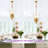 17" 3 - Light Gold Hanging Pendant With Glass Shade