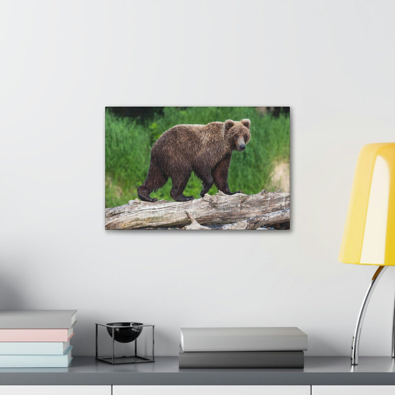 «Brown Bear H chasse», reproduction d'art mural, H 12 po x l 18 po