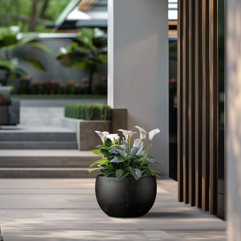 Pot à fleurs en ciment Highwoods, H 13 po x l 19 po x P 19 po, Noir bronzé