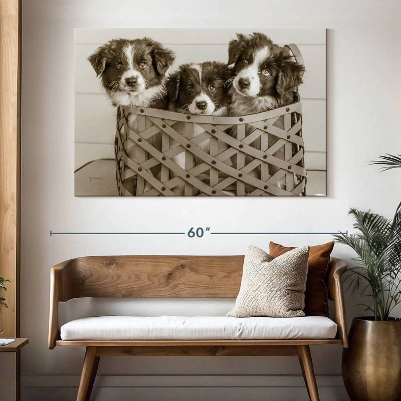 Brampt What A Cute Bundle, H 34 po x l 51 po