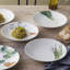 Noritake Kyoka Shunsai Set of 6 Deep Plates, 9.25"